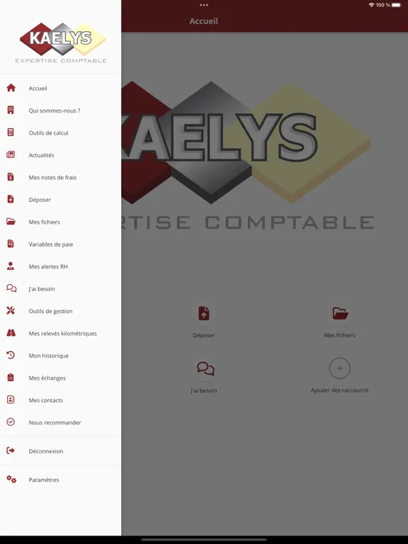 Kaelys Expertise Comptable iPad  Ekran Görüntüleri