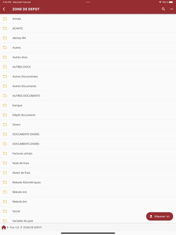Kaelys Expertise Comptable iPad  Ekran Görüntüleri