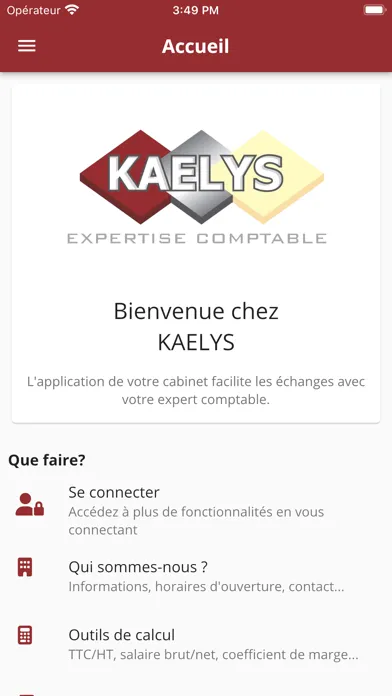 Kaelys Expertise Comptable Ekran Görüntüleri