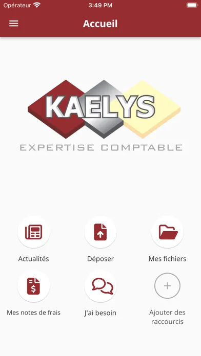 Kaelys Expertise Comptable Ekran Görüntüleri