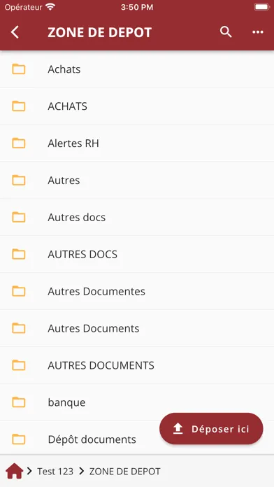 Kaelys Expertise Comptable Ekran Görüntüleri