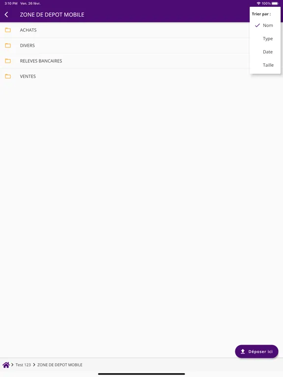 Capturas de tela do LMK VIA CONSEIL iPad 