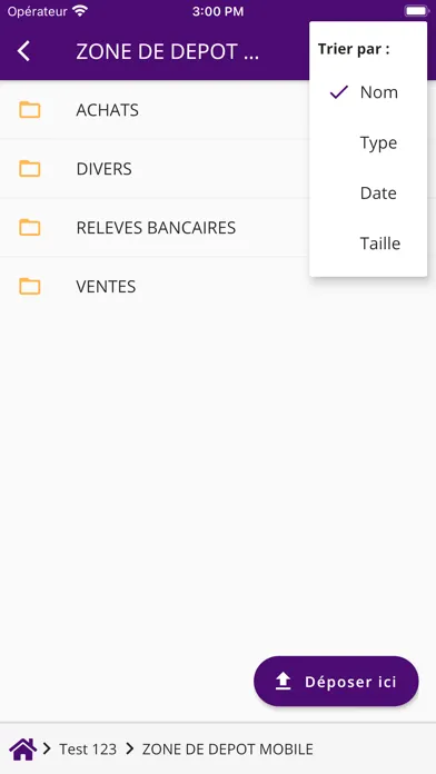 Capturas de tela do LMK VIA CONSEIL