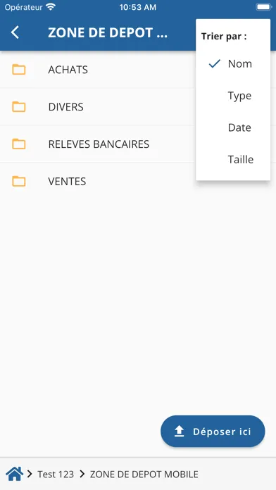 Zrzuty ekranu LSA CONSEIL