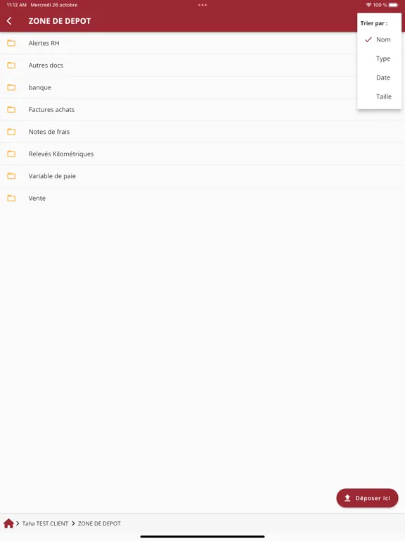Capturas de tela do PGA – Expertise comptable iPad 