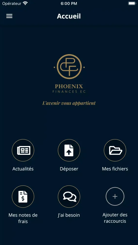 Phoenix Finances应用截图