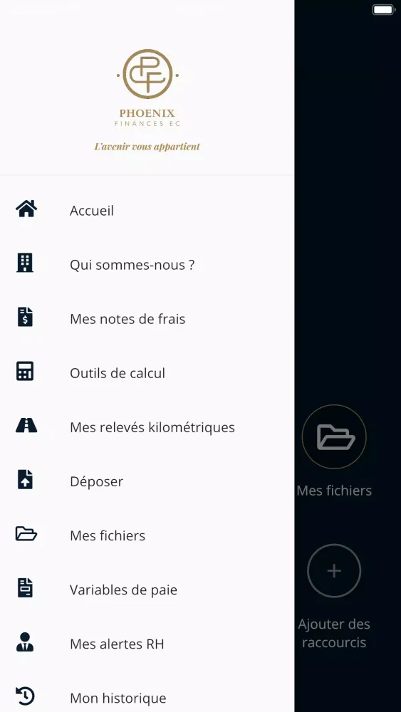 Phoenix Finances应用截图