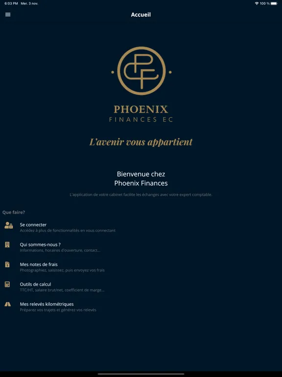 ภาพหน้าจอของ Phoenix Finances iPad 