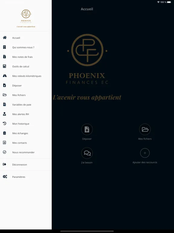 ภาพหน้าจอของ Phoenix Finances iPad 