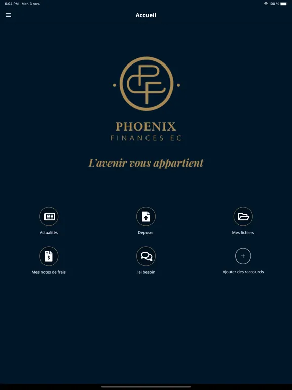 ภาพหน้าจอของ Phoenix Finances iPad 