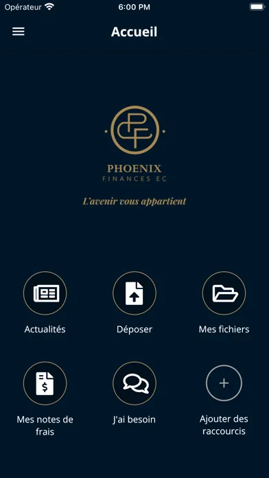 ภาพหน้าจอของ Phoenix Finances