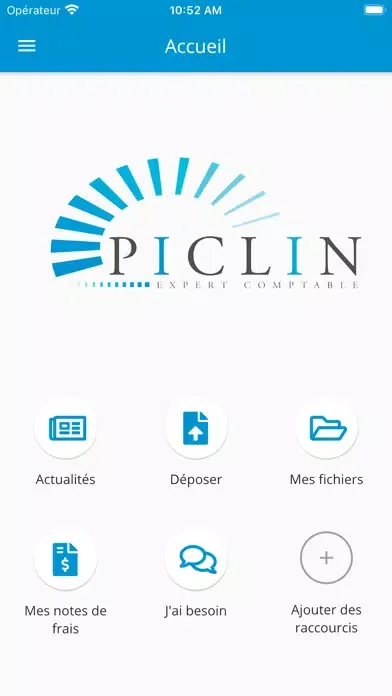 Скриншоты PICLIN EXPERT COMPTABLE