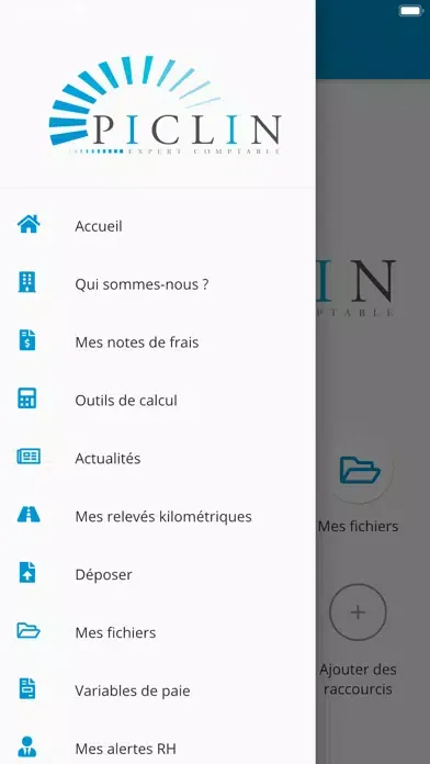 Скриншоты PICLIN EXPERT COMPTABLE