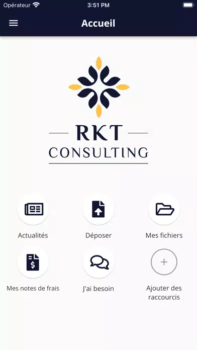 RKT CONSULTING Screenshots
