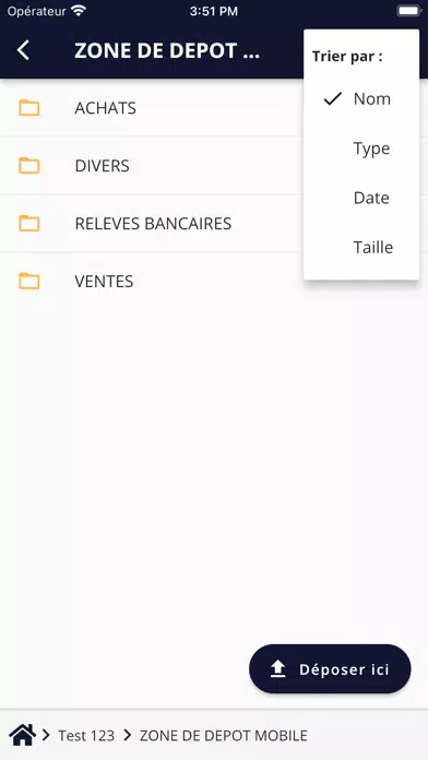 RKT CONSULTING Screenshots
