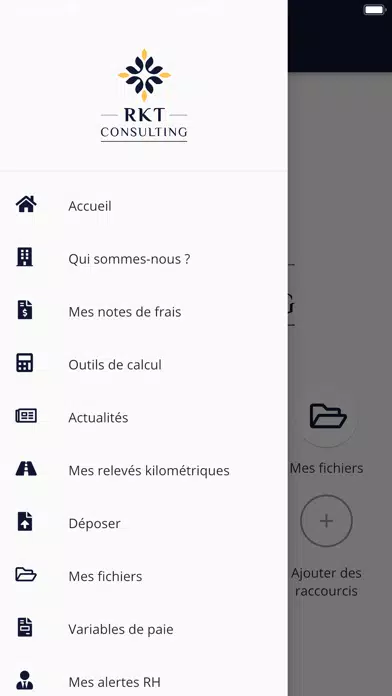 RKT CONSULTING Screenshots