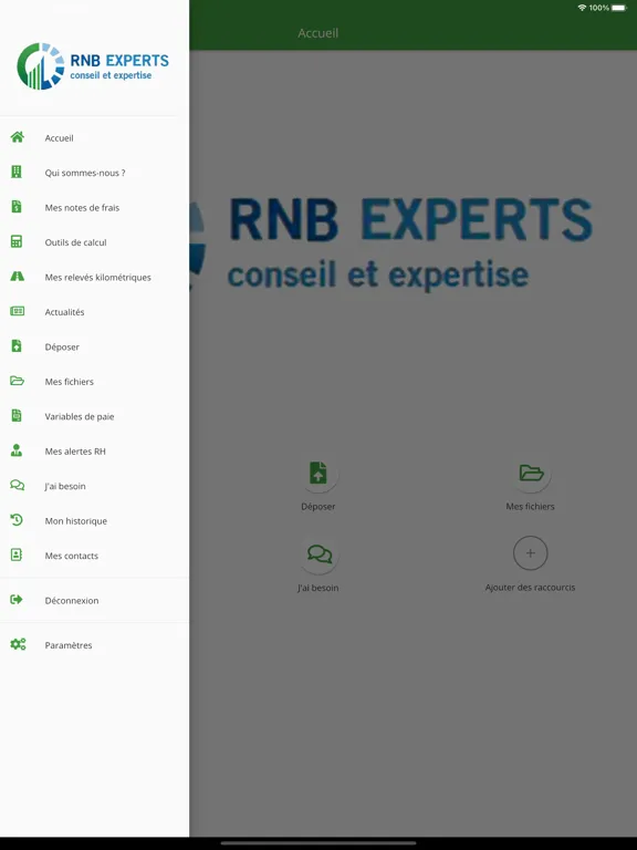 Tangkapan layar RNB Experts iPad 