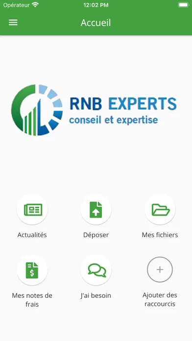 Tangkapan layar RNB Experts
