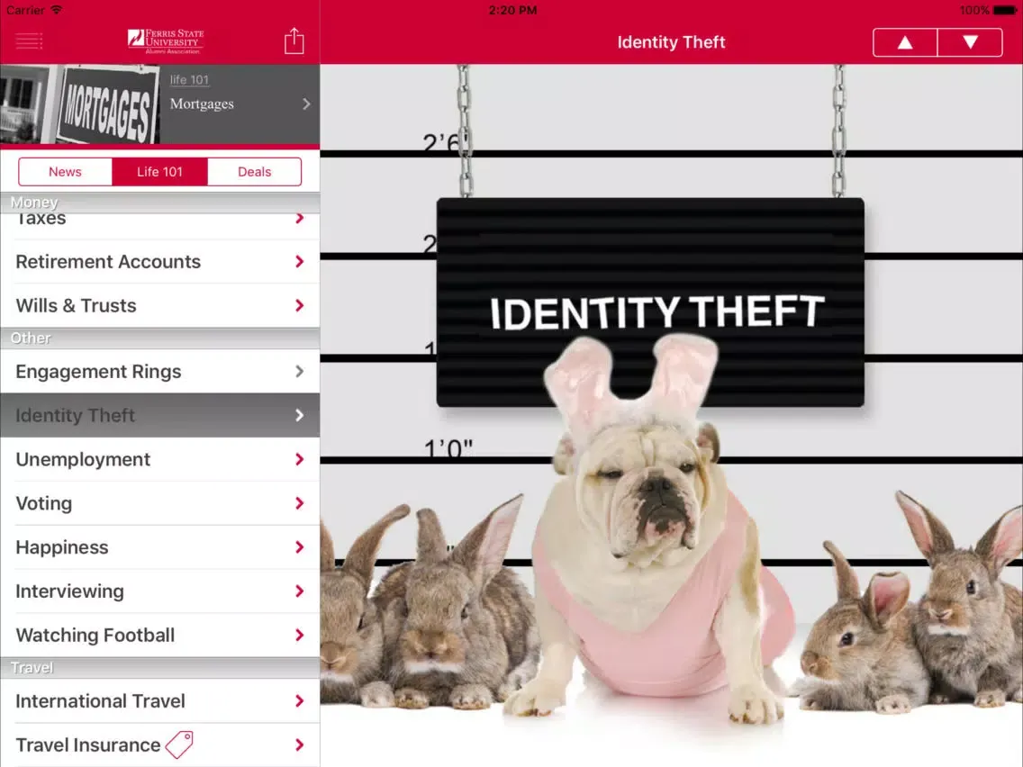 ภาพหน้าจอของ Ferris State Crib Sheet iPad 