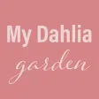 My Dahlia Garden My Dahlia Garden