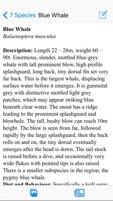 Tangkapan layar Antarctic Wildlife Guide