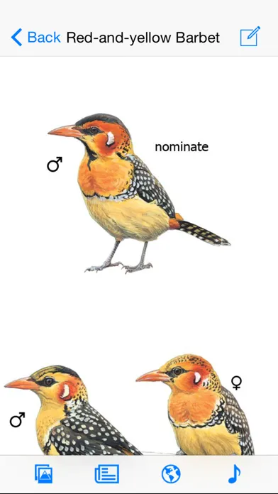تصاویر eGuide to Birds of East Africa