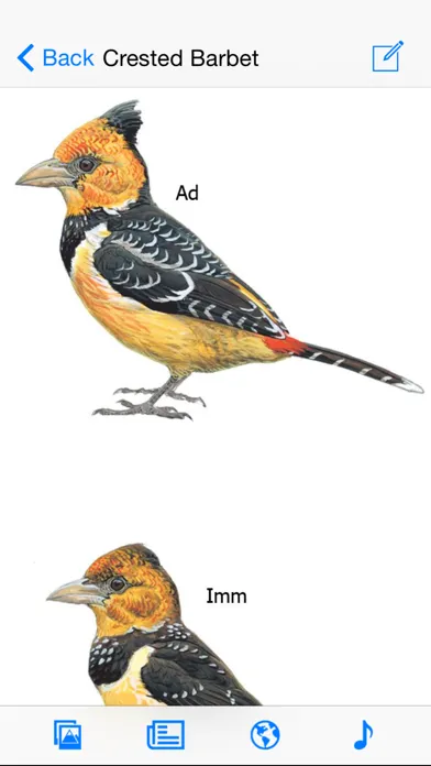 تصاویر eGuide to Birds of East Africa