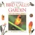 Bird Calls in your Garden in Southern Africa