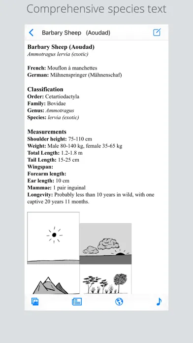 Stuarts European Mammals Screenshots