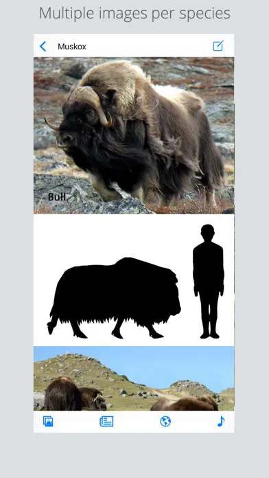 Stuarts European Mammals Screenshots
