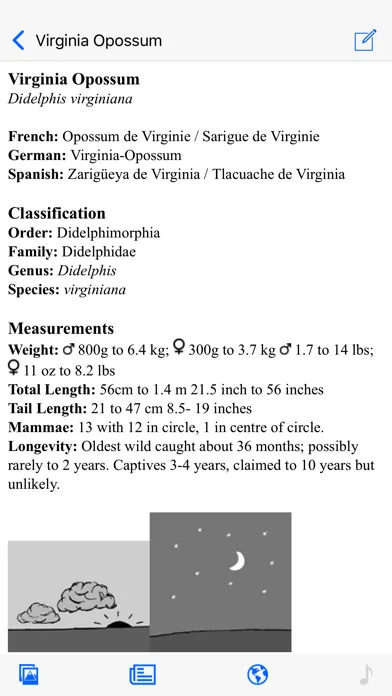 Stuarts North American Mammals Screenshots