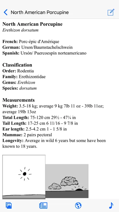 Stuarts North American Mammals Screenshots