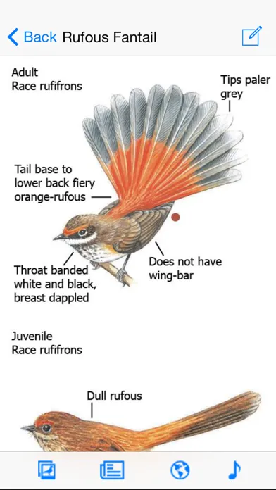 Скриншоты The Michael Morcombe and David Stewart eGuide to the Birds of Australia LITE