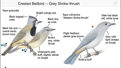 Скриншоты The Michael Morcombe and David Stewart eGuide to the Birds of Australia LITE