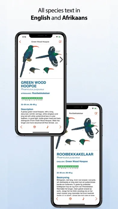 Sasol eBirds Southern Africa স্ক্রিনশট