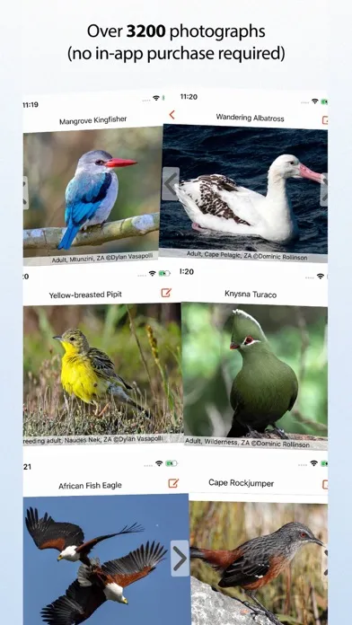Sasol eBirds Southern Africa স্ক্রিনশট