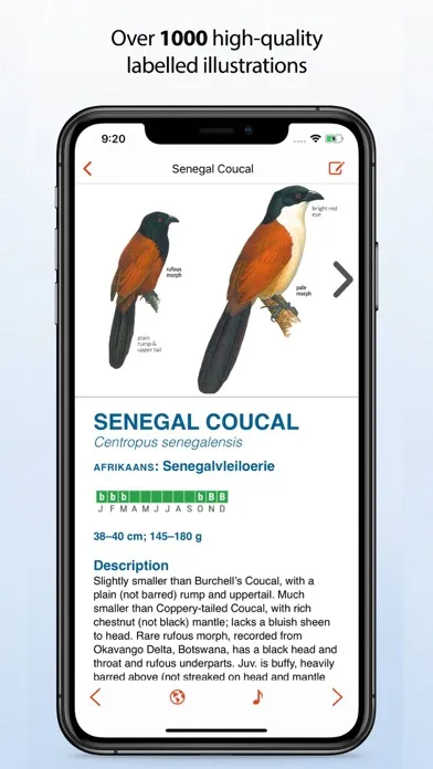 Sasol eBirds Southern Africa স্ক্রিনশট