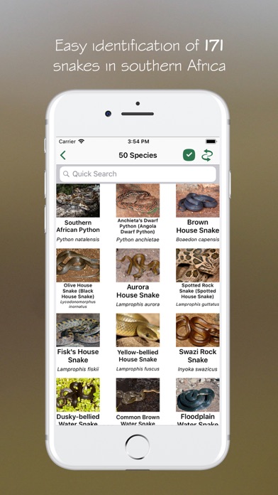 eSnakes Southern Africa Screenshots
