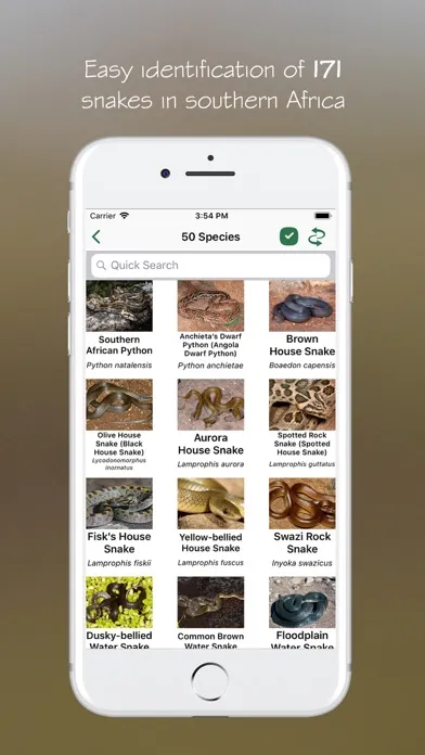 eSnakes Southern Africa سکرین شاٹس