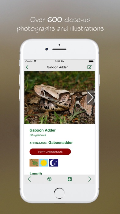 eSnakes Southern Africa Screenshots