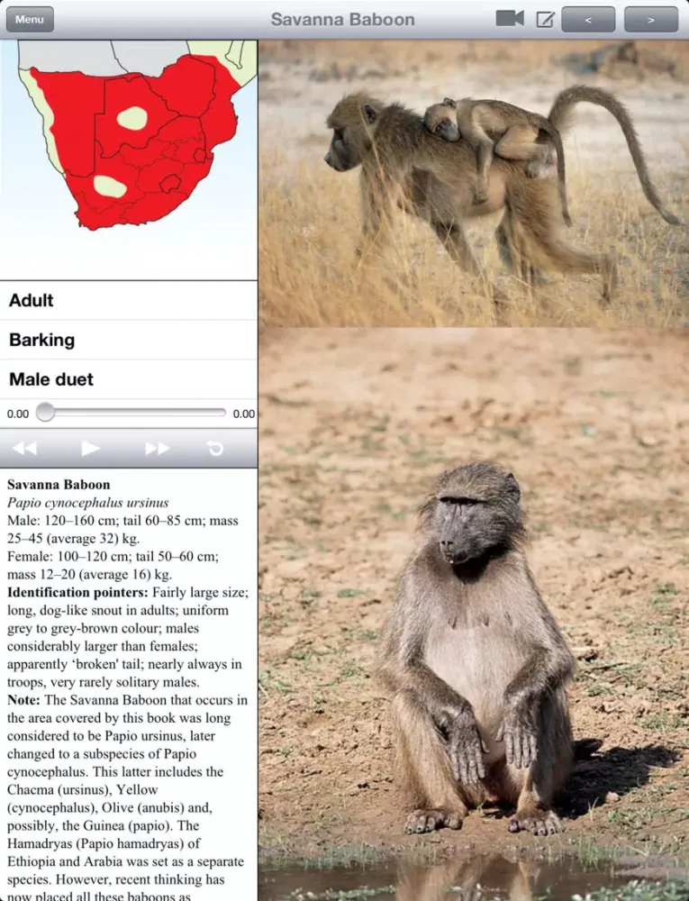 Capturas de tela do eGuide to Mammals of Southern Africa LITE iPad 