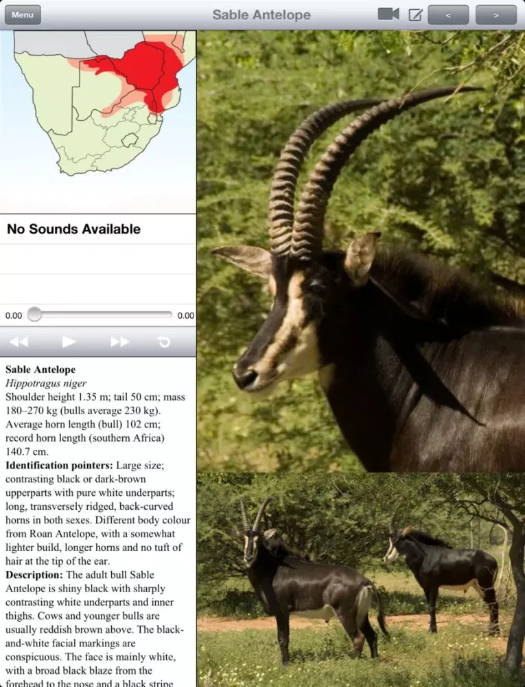 Capturas de tela do eGuide to Mammals of Southern Africa LITE iPad 