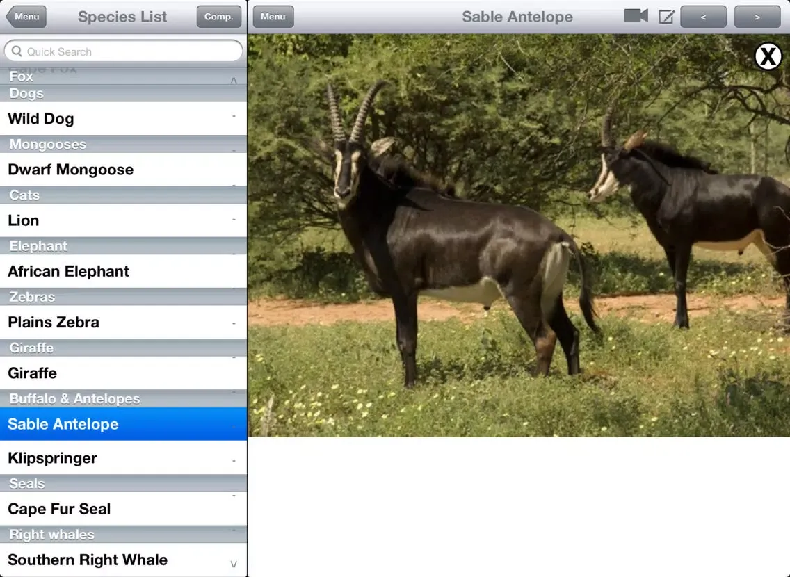 Capturas de tela do eGuide to Mammals of Southern Africa LITE iPad 