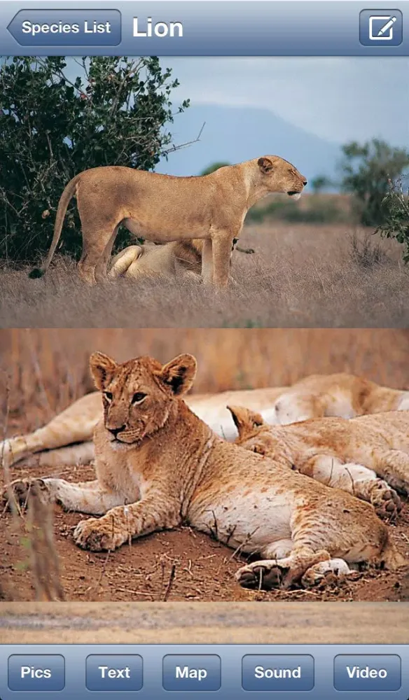 Capturas de tela do eGuide to Mammals of Southern Africa LITE