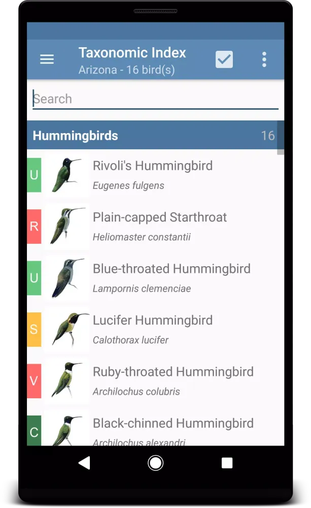 Sibley Guide to Hummingbirds應用截圖