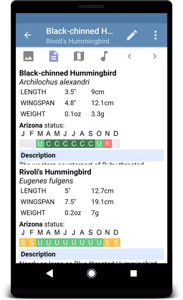 Sibley Guide to Hummingbirds應用截圖