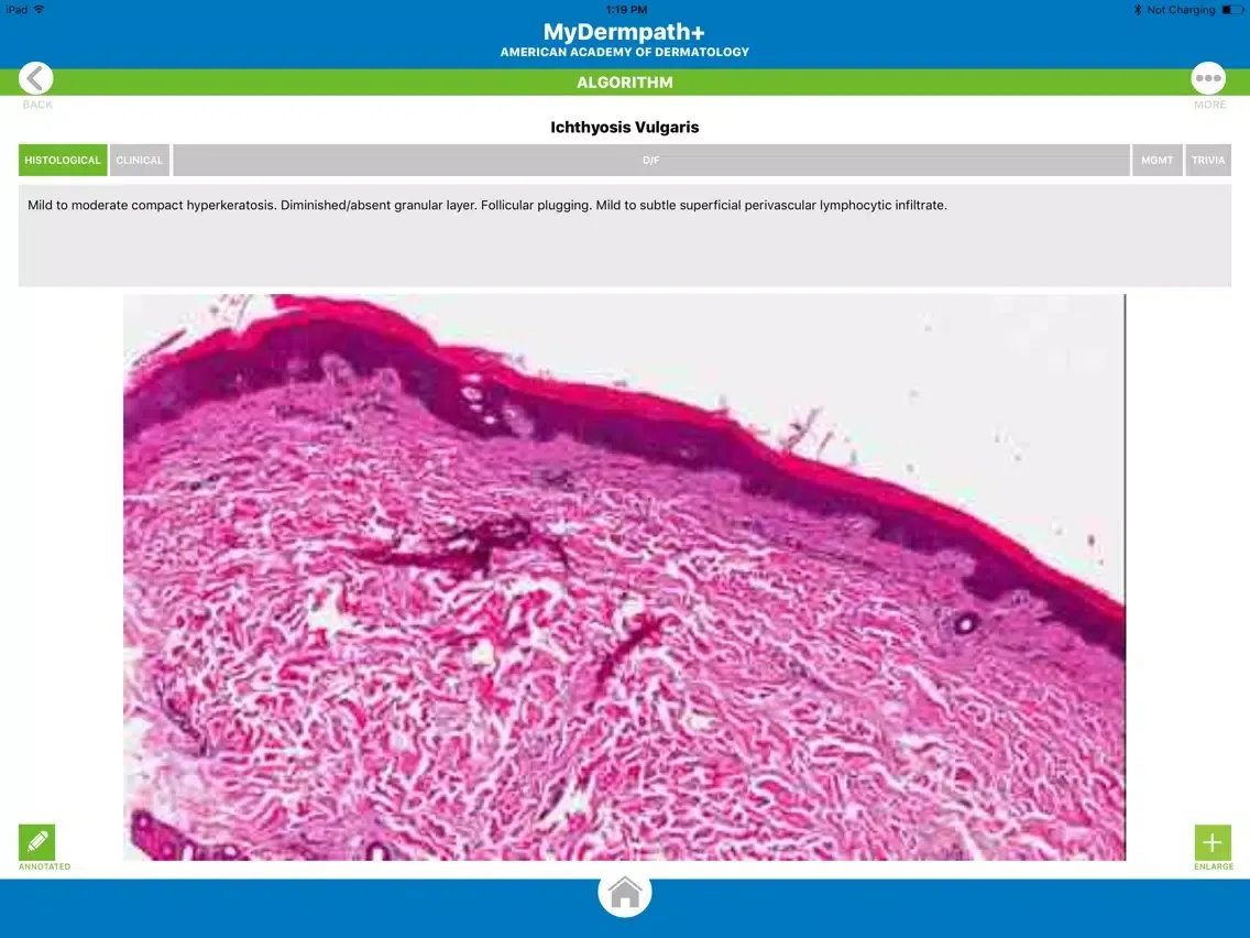 Скриншоты MyDermPath+ iPad 