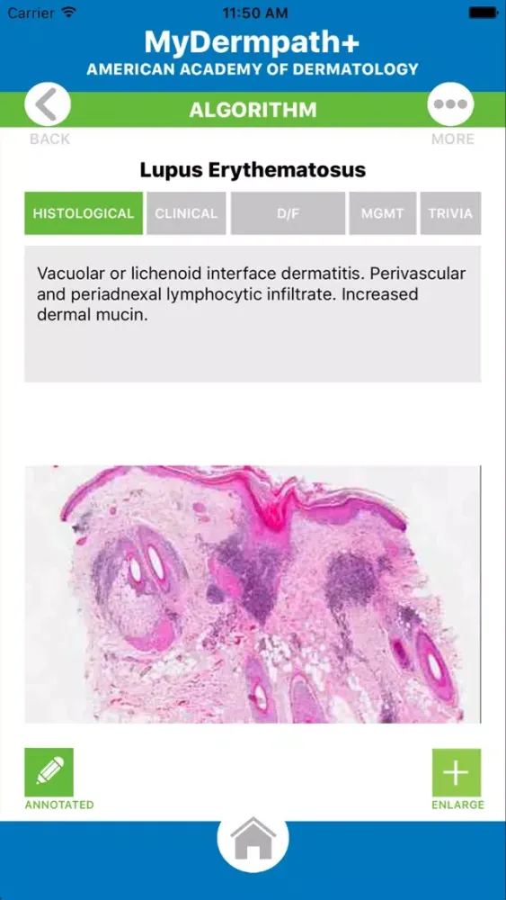 Скриншоты MyDermPath+