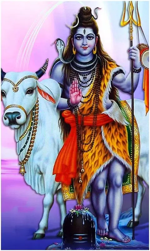 God Shiva HD Wallpapers应用截图