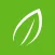 Foodies Organic